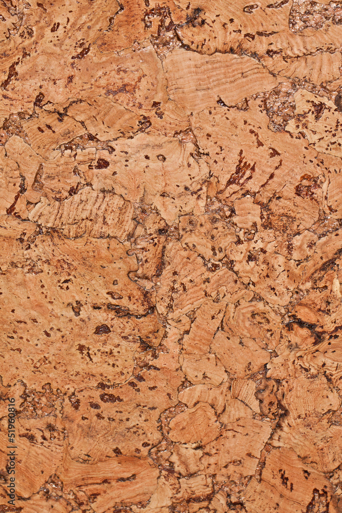 cork texture. cork background. Closeup cork texture. cork background. Closeup
