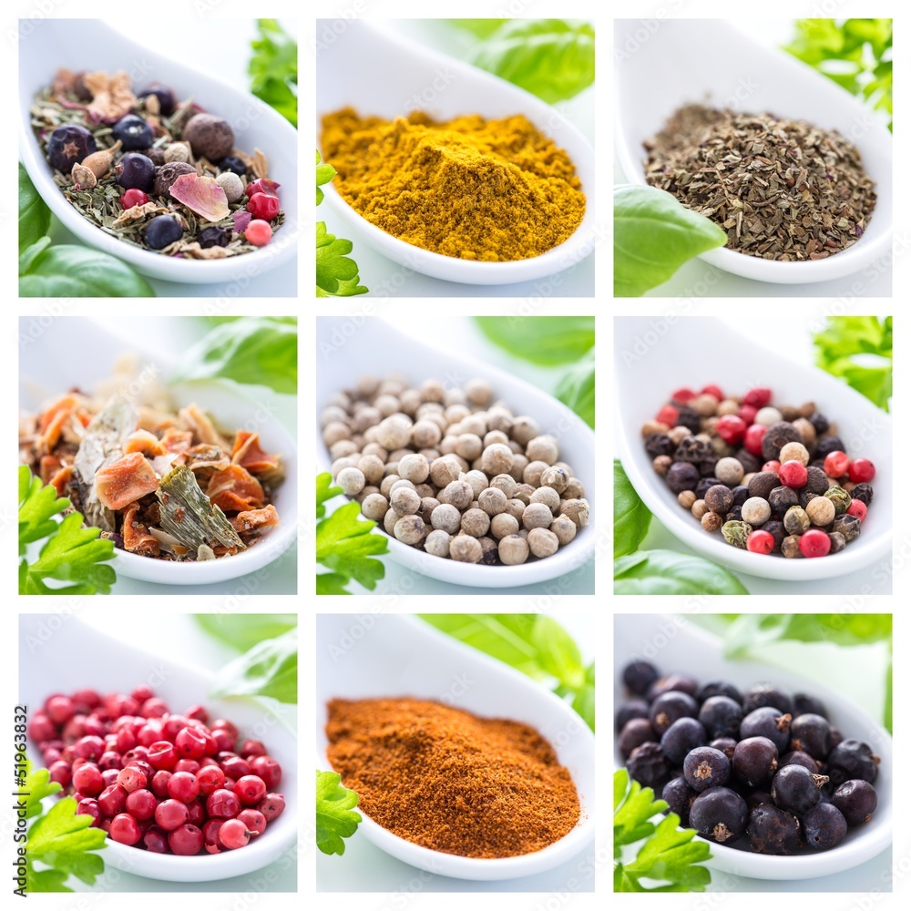 Collection of herbs and spices Collection of herbs and spices