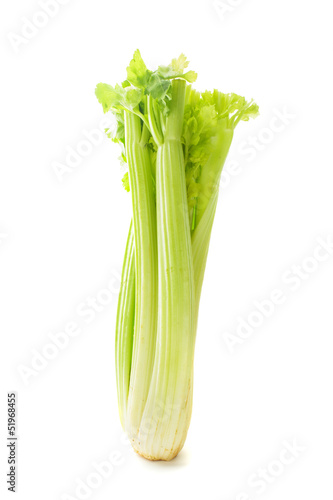 green celery isolated