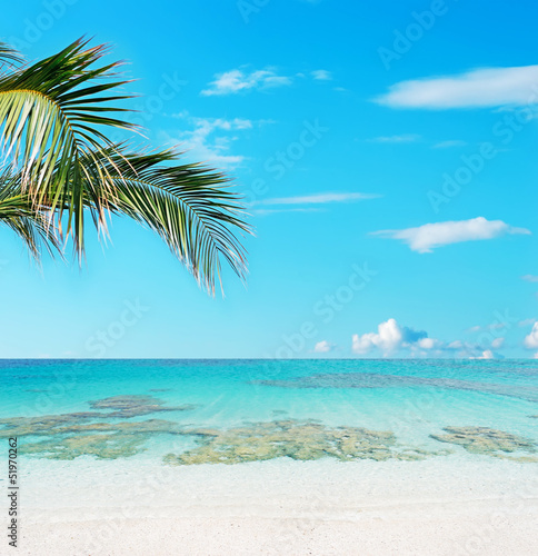 tropical beach and crystal water