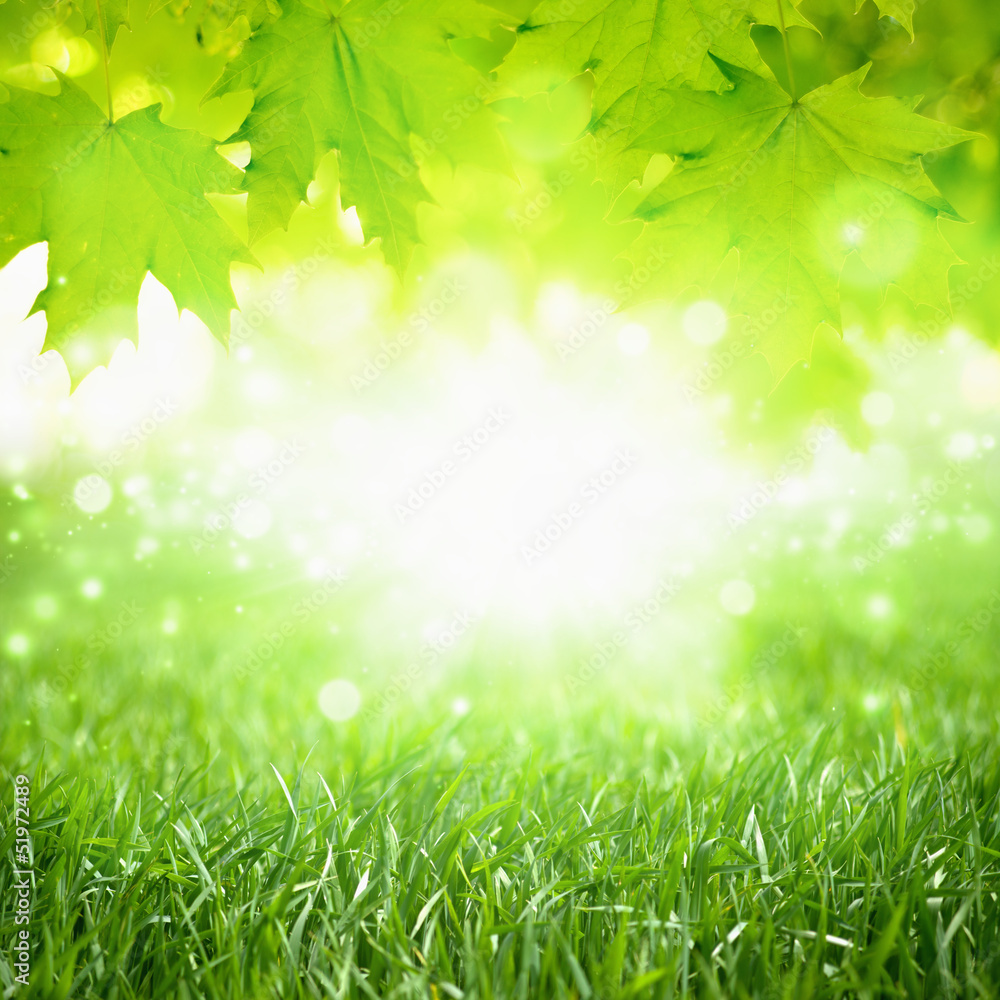 Obraz premium Eco background