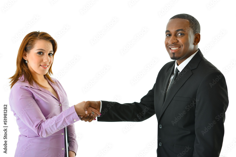 Business Handshake (man/woman)
