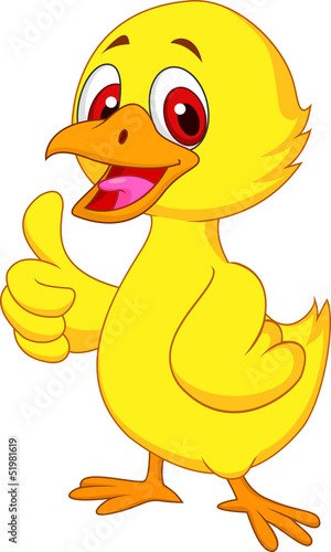 Cute baby chicken with thumb up