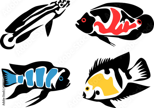 set of aquarium fishes - cichlids