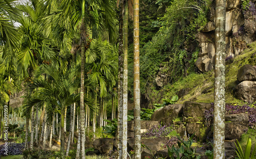 France, the picturesque Habitation Anse Latouche garden in Marti photo