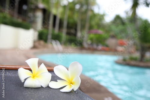 Tropical flowers Swimming pool