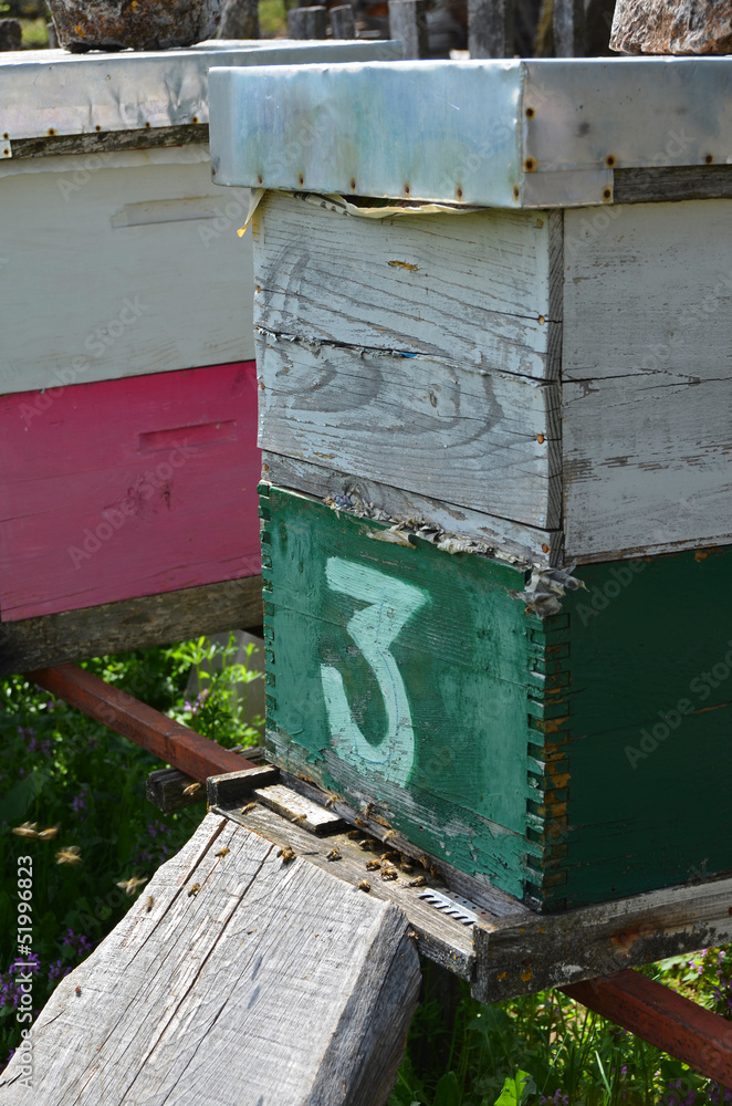 old beehive old beehive