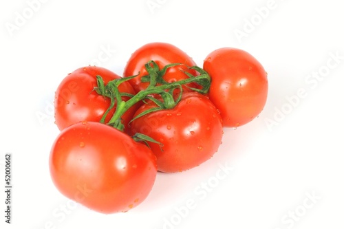 tomatenstrauch