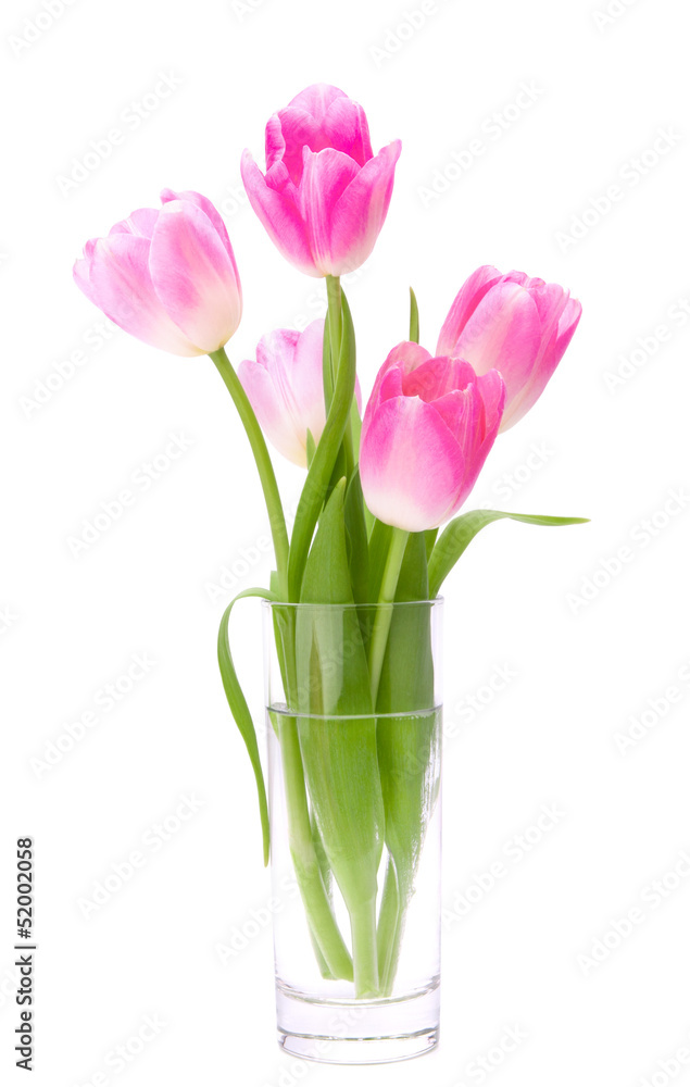 Pink tulips bouquet in vase isolated on white background Pink tulips bouquet in vase isolated on white background