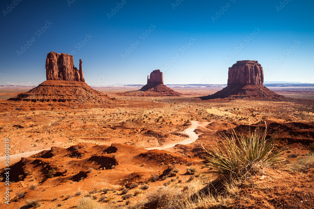 Obraz premium Monument Valley, USA
