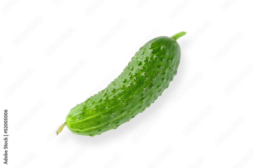 A nice green gherkin, a kind of little cucumber, isolated on white background A nice green gherkin, a kind of little cucumber, isolated on white background
