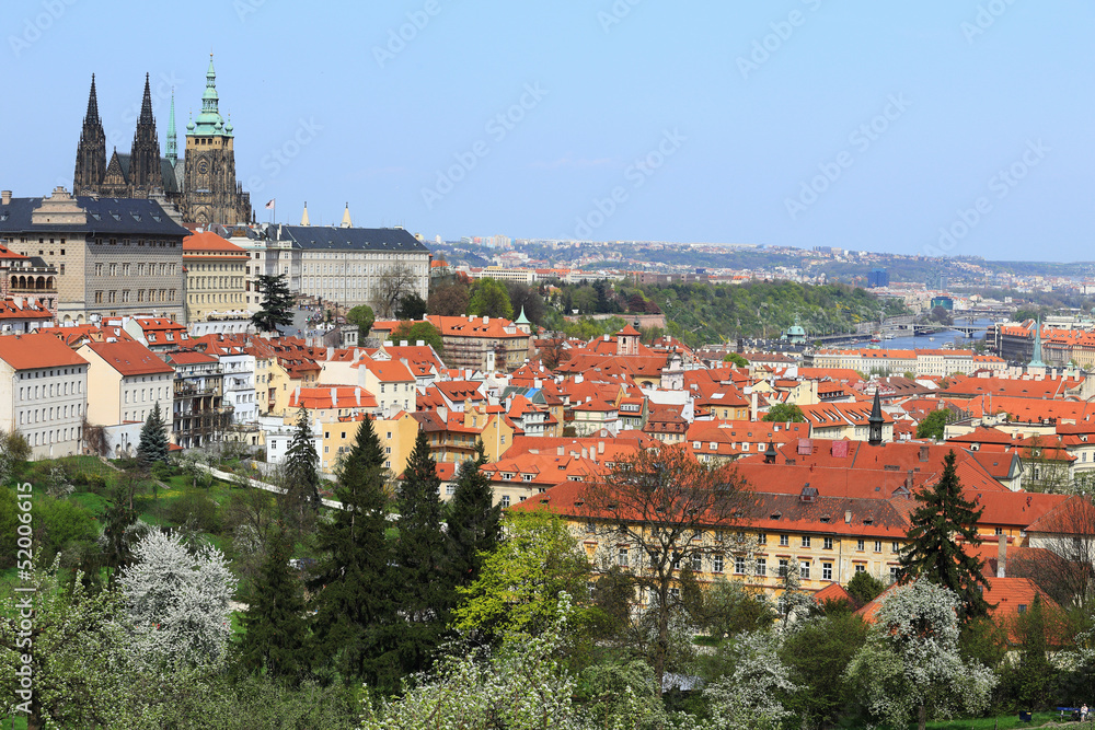 Spring Prague gothic Castle with green Trees, Czech Republic