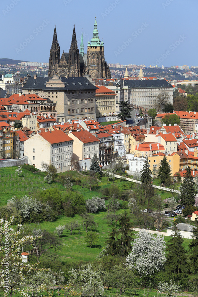 Spring Prague gothic Castle with flowering Trees, Czech Republic