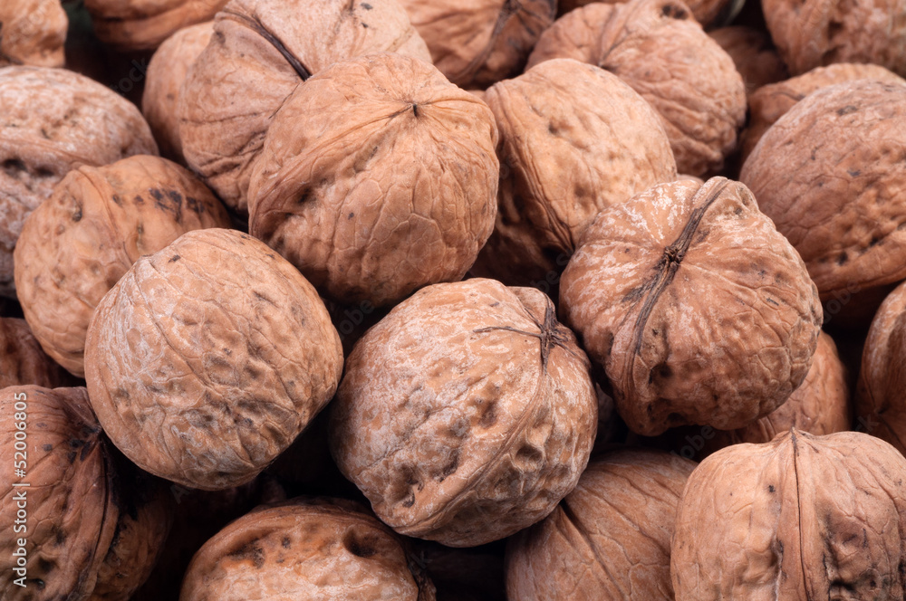 A pile of walnuts A pile of walnuts