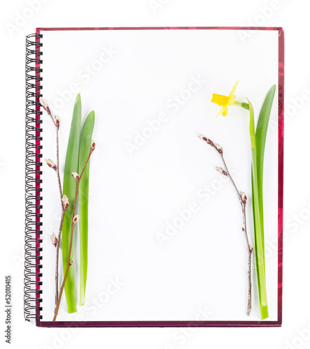 Spring empty book ready for recipes