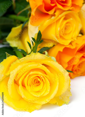 yellow and orange roses