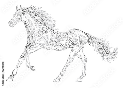 Horse of the stars