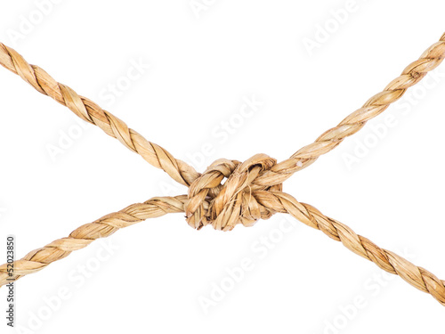 rope with knot, isolated on white