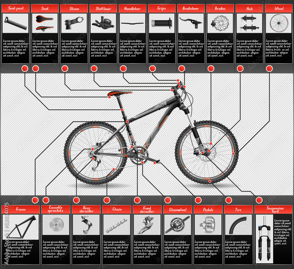 Fototapeta premium High-detailed hardtail MTB scheme