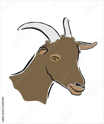cabra