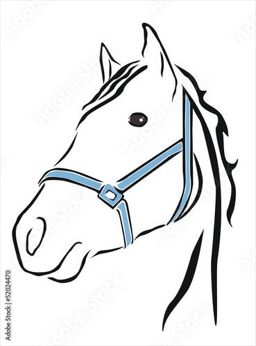 cabeza de caballo