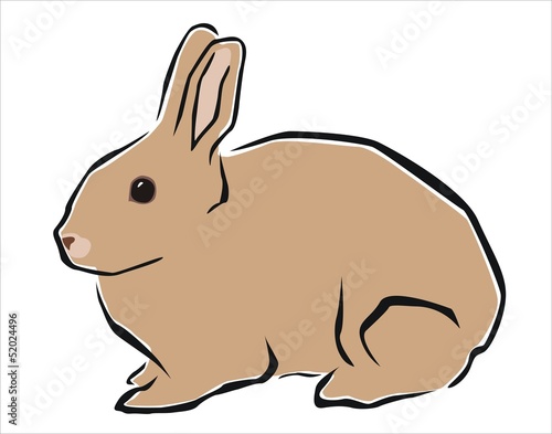 conejo marrón
