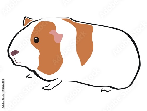cobaya