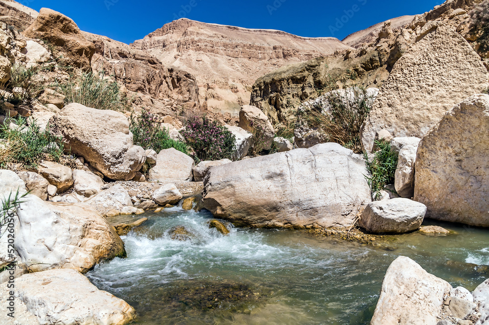 Water flows through the Western Jordan in Wadi Hasa