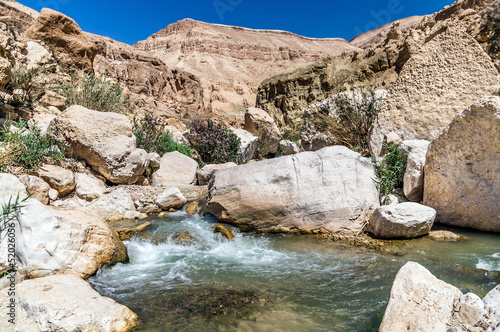 Water flows through the Western Jordan in Wadi Hasa © naxaso