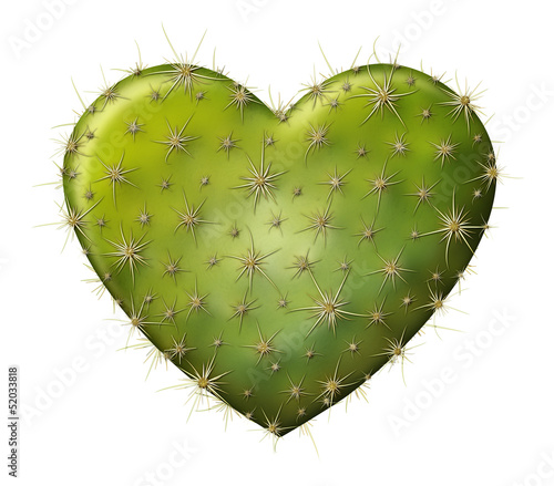 Fotografie Cactus Heart
