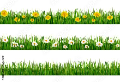 Three nature backgrounds of green grass with dandelions and dais