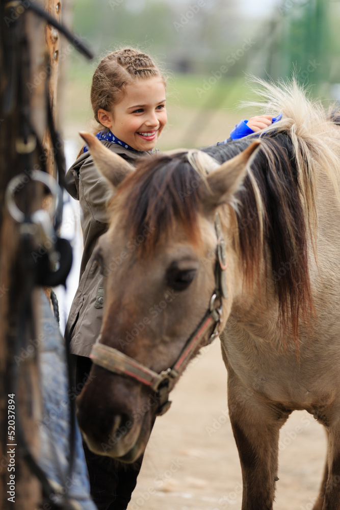 Fototapeta premium Horse and lovely girl