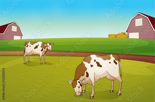 Two cows in the farm © GraphicsRF
