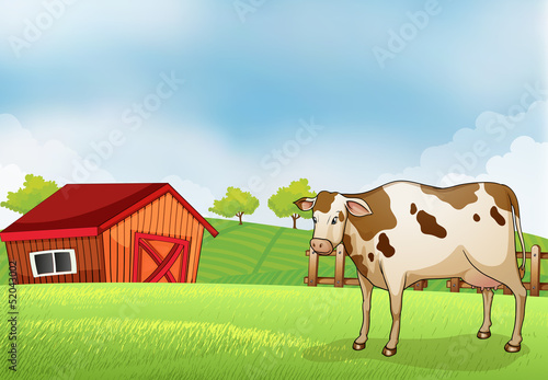 A cow in the farm with a barn house