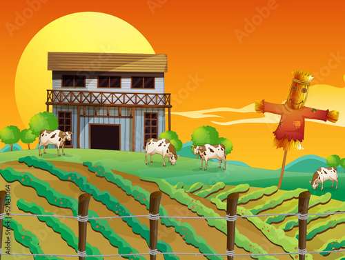 A farm with cows and a scarecrow