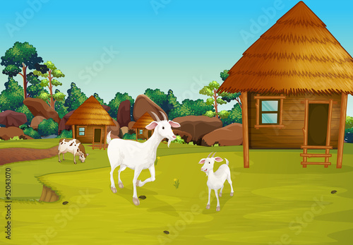 A farm with nipa huts