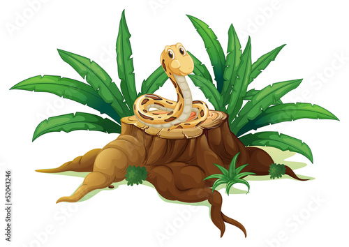 A snake above the stump