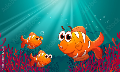 Three fishes under the sea with corals