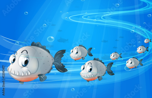 A school of gray fishes