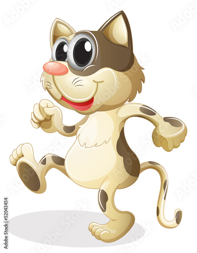 A cat walking