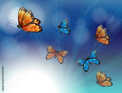Colorful butterflies in a gradient colored stationery