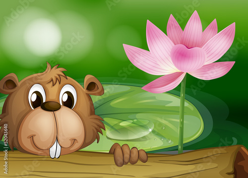 A beaver beside a pink flower
