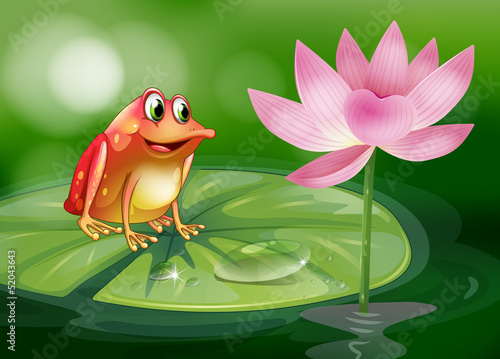 A frog above the waterlily beside a pink flower