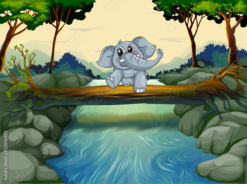 An elephant crossing the river