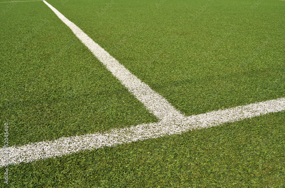 Obraz premium artificial grass