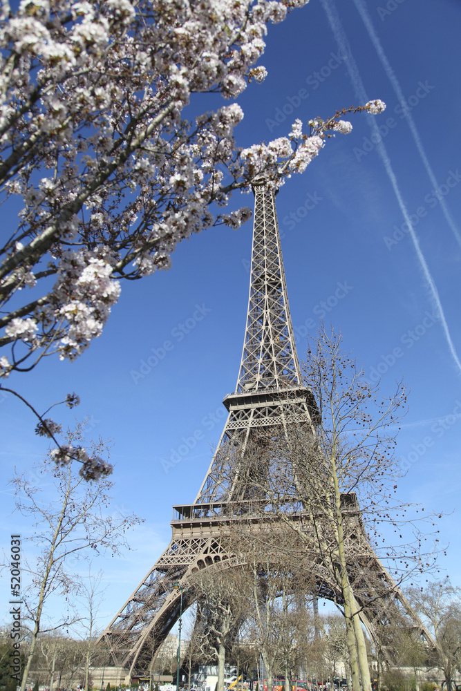 Spring in Paris. Eiffel Tower.