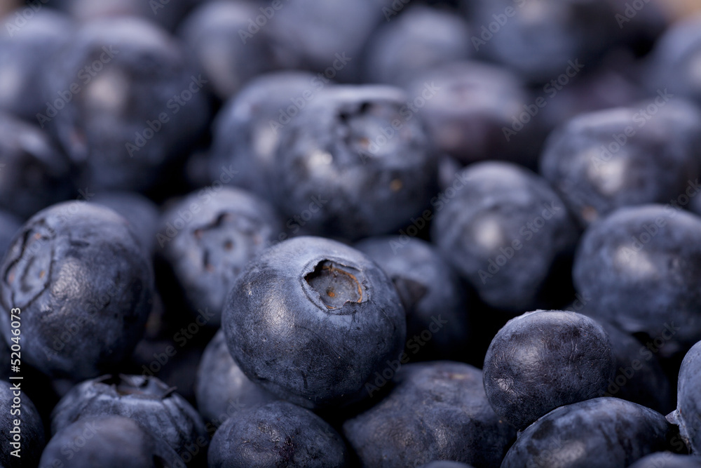 Blaubeeren Makroaufnahme Blaubeeren Makroaufnahme