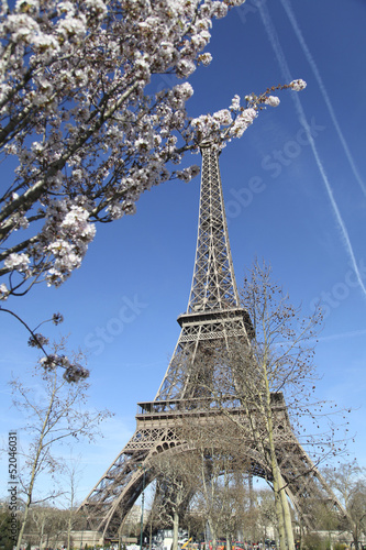 Spring in Paris. Eiffel Tower. © Slepitssskaya