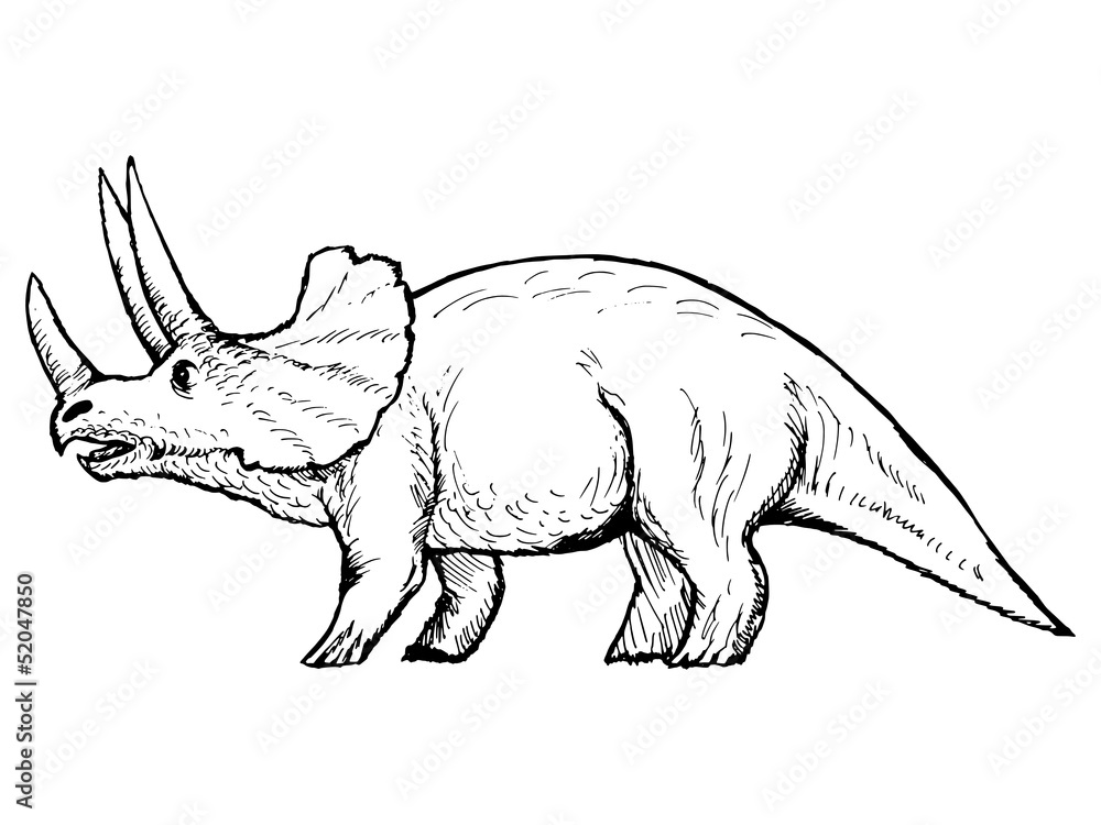 triceratops triceratops