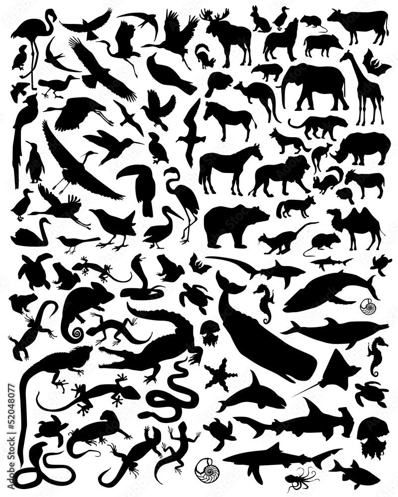 silhouette animals